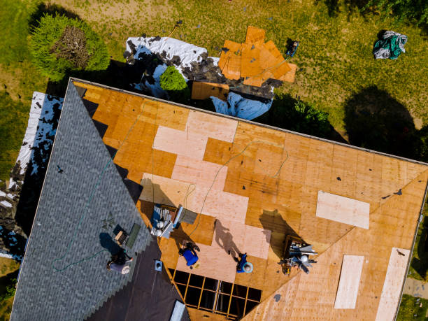 Best Roof Gutter Cleaning  in Rutherfordton, NC