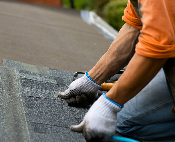 Best Gutter Installation and Roofing  in Rutherfordton, NC